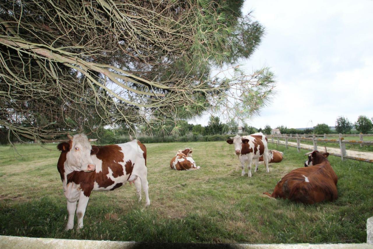 Domaine Du Galon D'Or Villa Arvert ภายนอก รูปภาพ